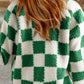 Checkered Snap Down Long Sleeve Jacket